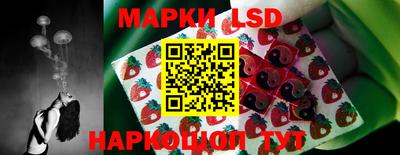 гидропоника Гусь-Хрустальный