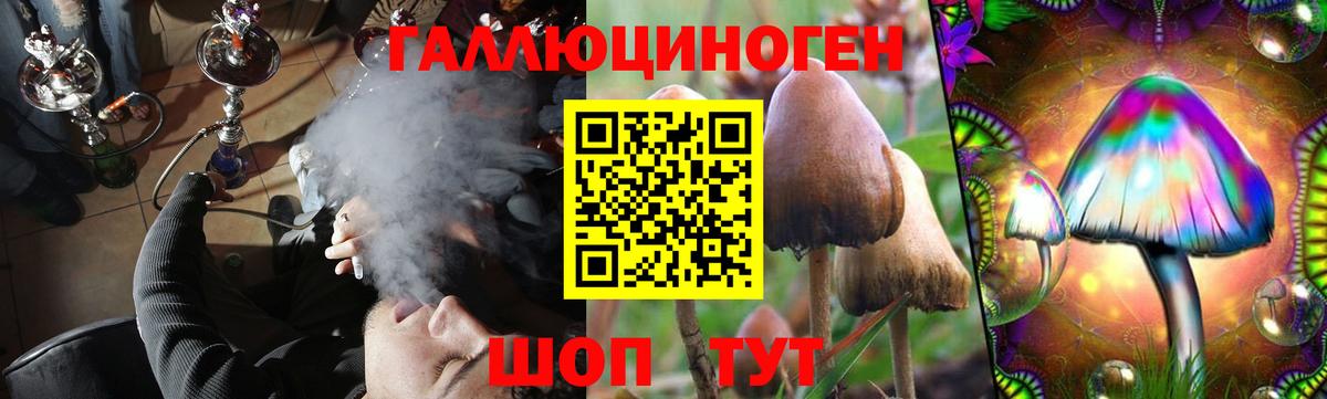 Галлюциногенные грибы Magic Shrooms  закладки  Малгобек  Псилоцибиновые грибы ЛСД  Вход с VPN 